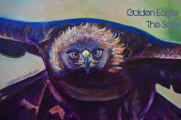 The Golden Eagle: Seer